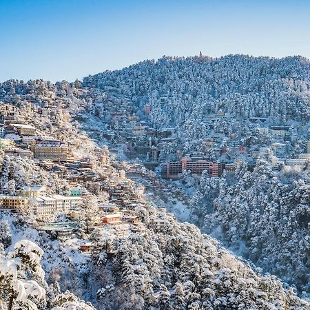 Mountain Zest-Simla Royale Near Mall Road-Free Pickup From Railway Station Simla Esterno foto